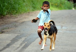 A boy and a dog in a village of Ampara, Sri Lanka by Anton Croos This file is licensed under the  Creative Commons Attribution-Share Alike 2.0 Generic license.