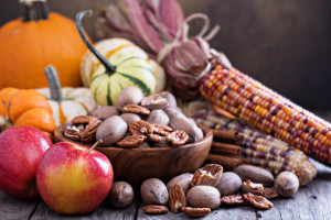Pumpkins, nuts, indian corn and apples