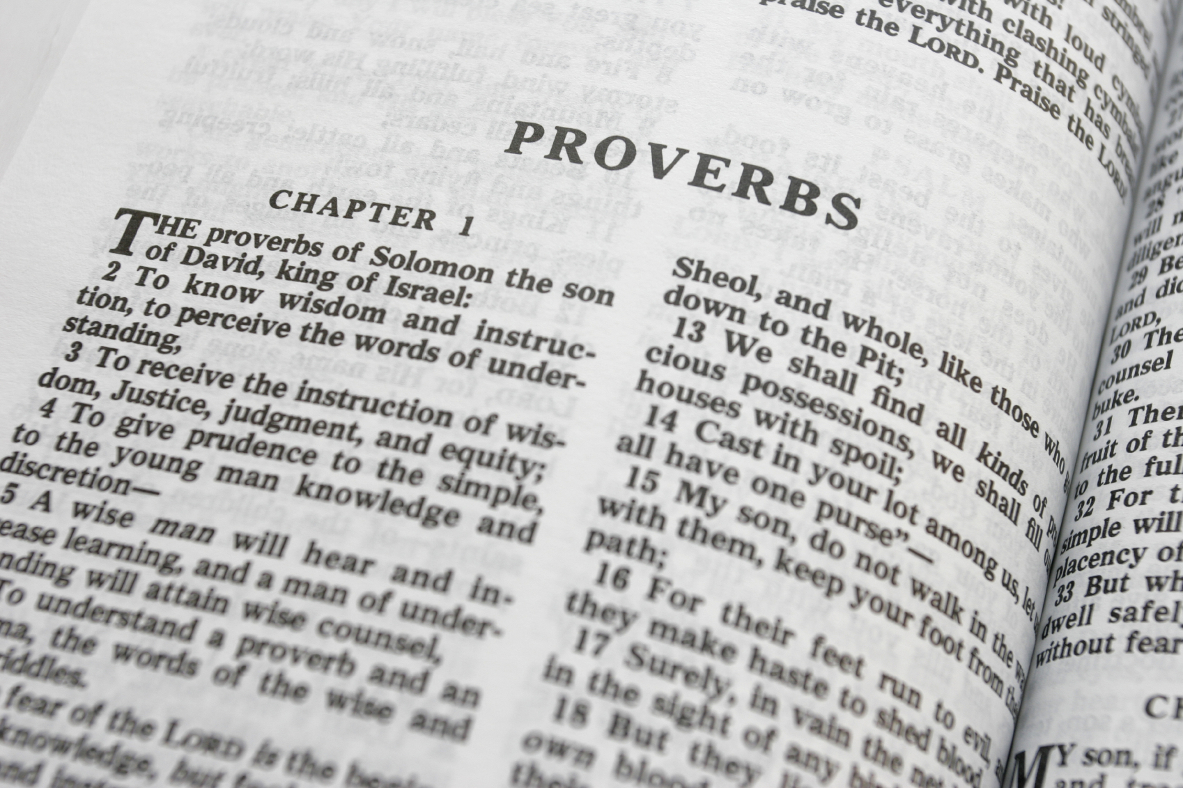 Image result for book of proverbs